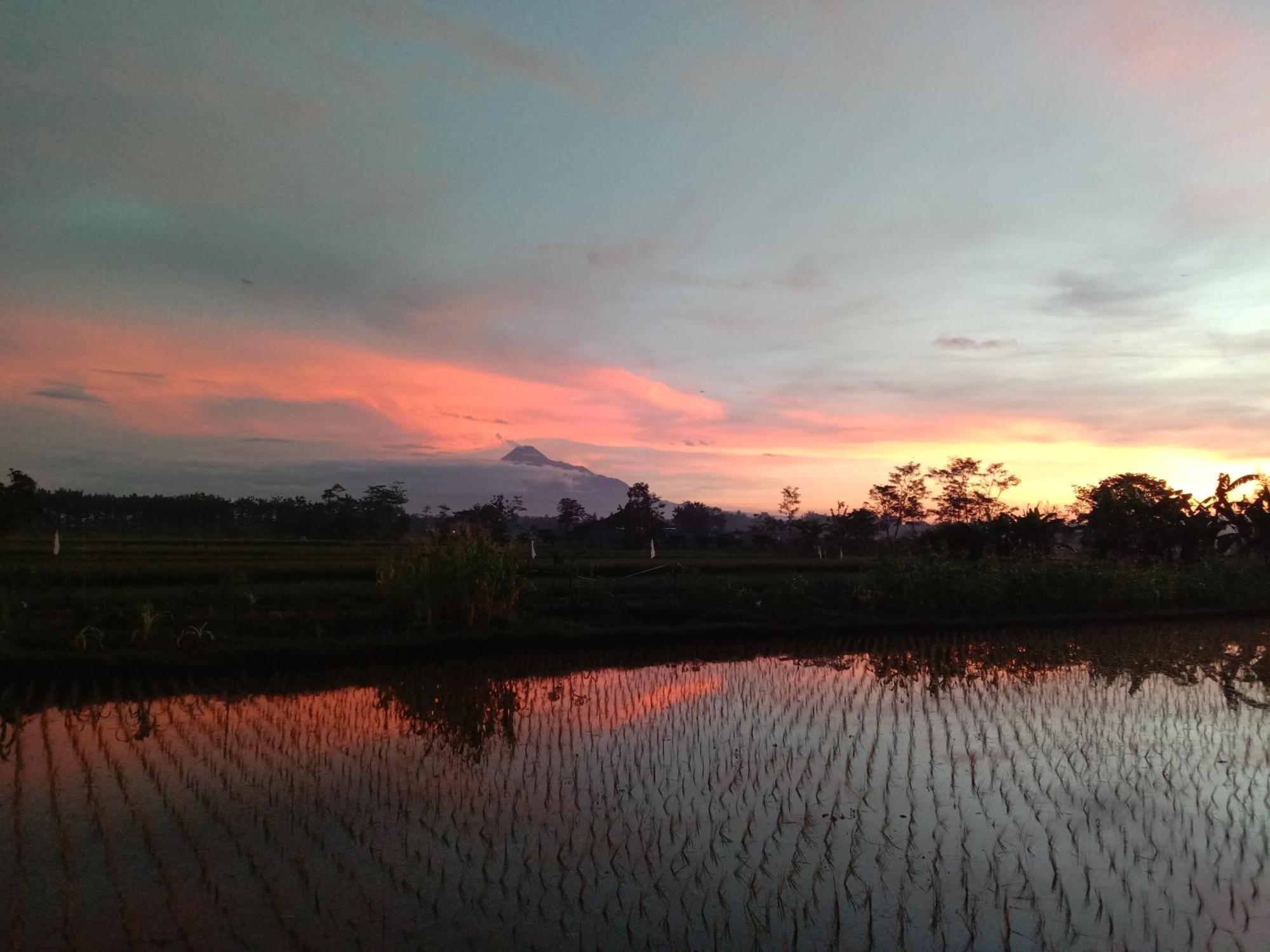Rumah Ukhi Guest House Cebongan Eksteriør bilde